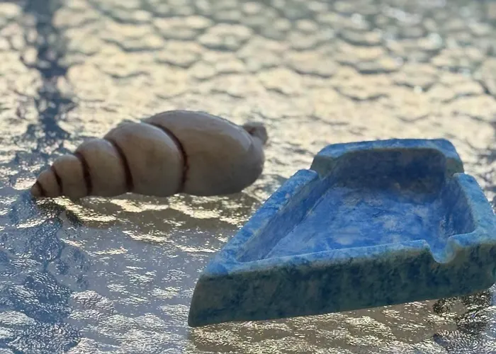 Apartament Celeste Retreat By Infox Afytos